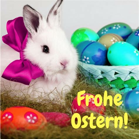 frohe ostern lustig|frohe ostern wünschen.